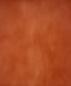 PROVENZA COTTO 33,3X33,3 RED BODY CRX MAT P.R MARQUE: CHULVICERAM