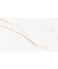 FIORELLA GRIS 60X120 POLI CARREAUX BRILLANT GRES CERAME ATC