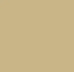 WEBERCOLOR JUNTA FINA BEIGE