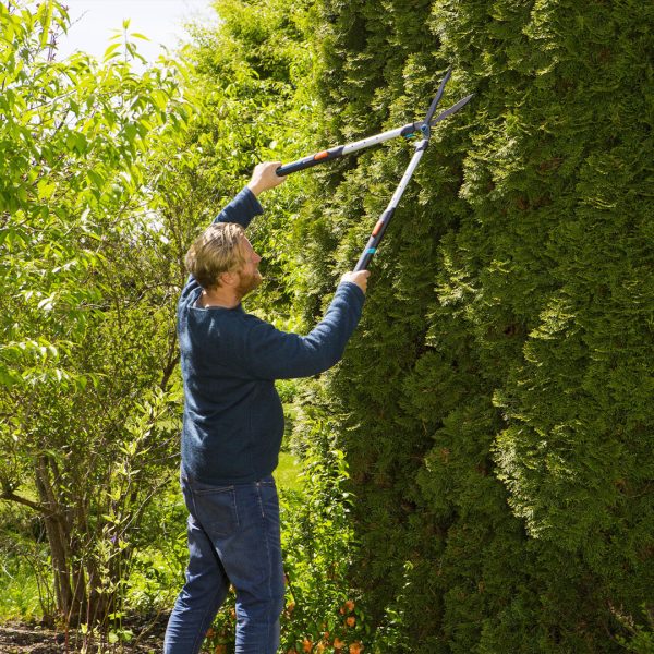 CISAILLE HAIE GARDENATELECUT – Image 3