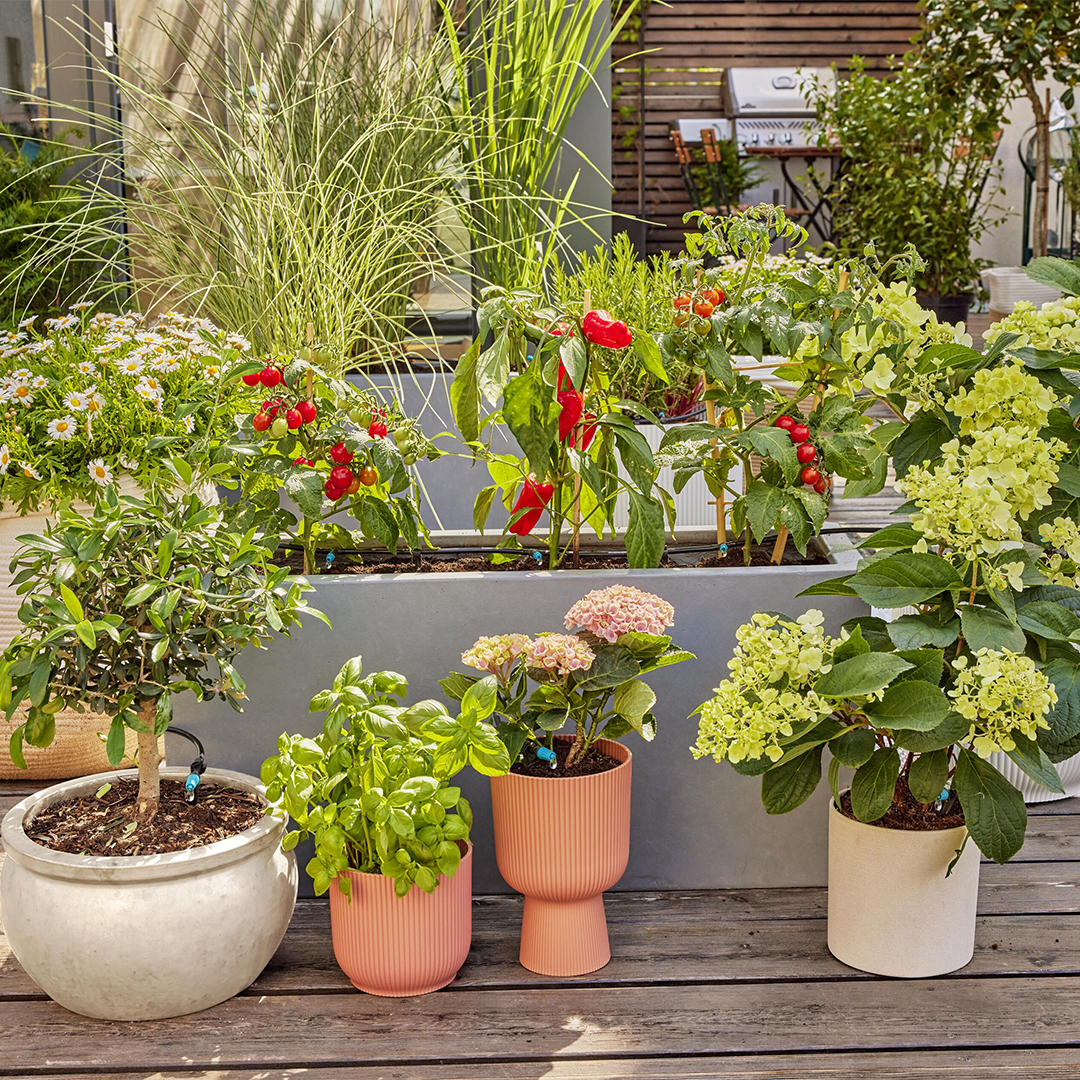 KIT D'INITIATION POUR BALCON - JUSQU'À 30 PLANTES REF : 13400-20.000.00 – Image 3